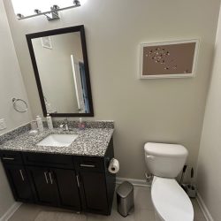 Modern bathroom with granite countertop, dark wood vanity, toilet, wall art of birds, and bright overhead lighting.