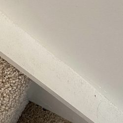 Screenshot Close-up of a carpeted stair meeting a white painted wall with some visible dust and dirt along the edge.